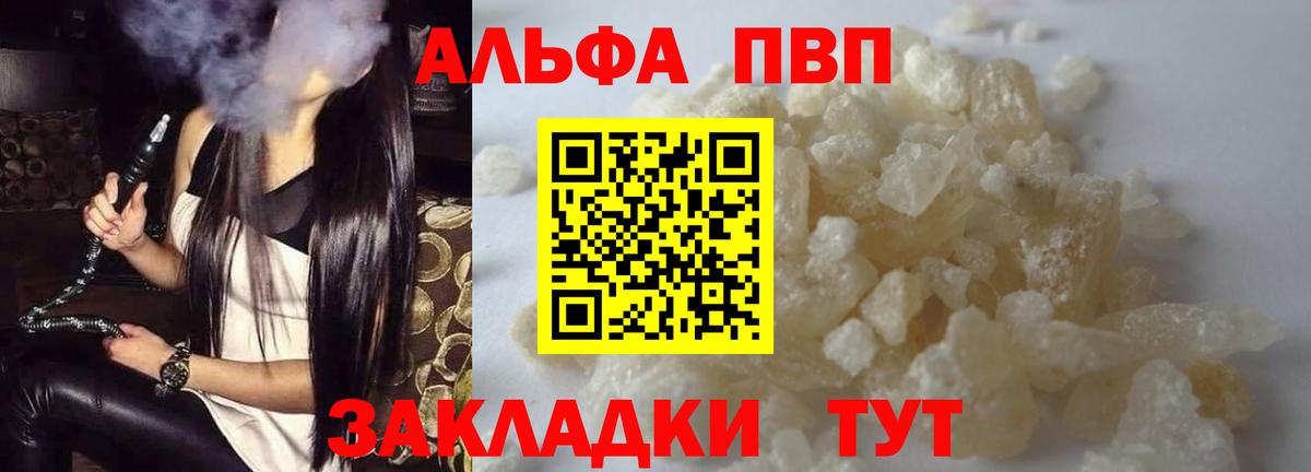 дарнет шоп  Вход с VPN  Мурино  A PVP СК  Альфа ПВП крисы CK 