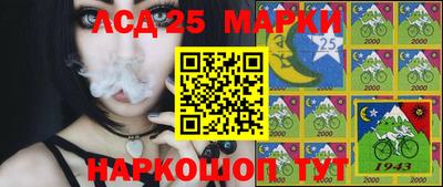гашик Тулун