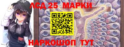 гашик Тулун
