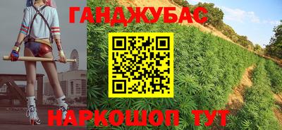 гашик Тулун