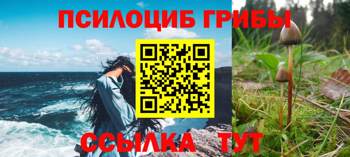 Псилоцибиновые грибы прущие грибы Мурино
