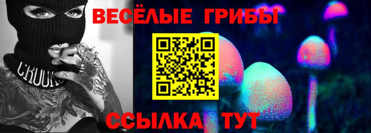 Мурино  Псилоцибиновые грибы Psilocybe  Галлюциногенные грибы Cubensis  Вход с VPN 
